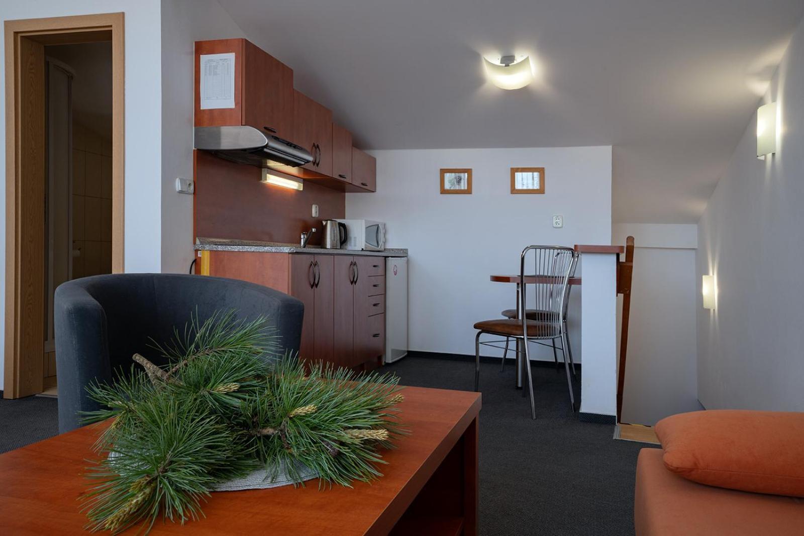 Studia Sprava Tanapu Apartment Strbske Pleso Ngoại thất bức ảnh